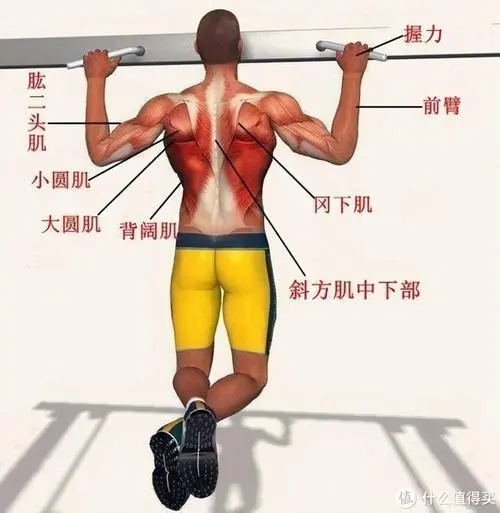 尤尼克斯用什么网球拍
